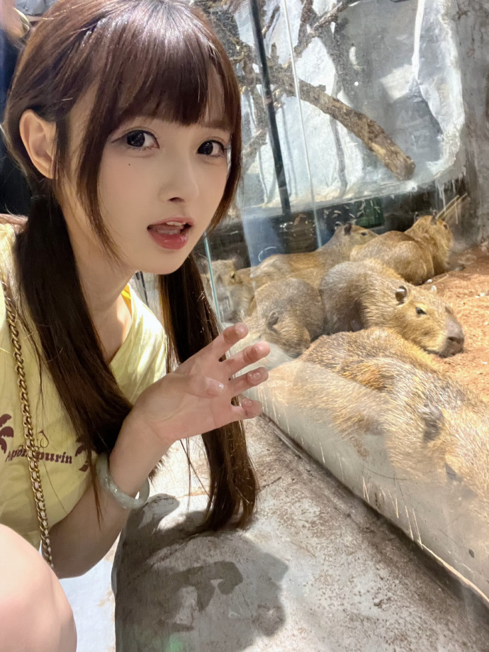 阿甘正传 封面